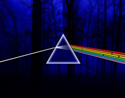 Pink Floyd Pictue Photo 14 x 11″