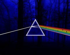 Pink Floyd Pictue Photo 14 x 11″