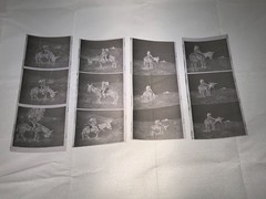 NEWLY FOUND! Hendrickson PHOTO Contact Sheet Proof & Negatives GIRLS RIDE DONKEY