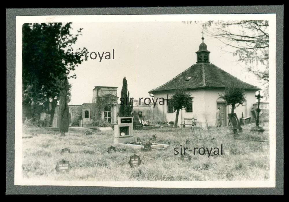 Theresienstadt 1958 – Cemetery – 1950s Czech Republic Terezin – Photo 10x7cm