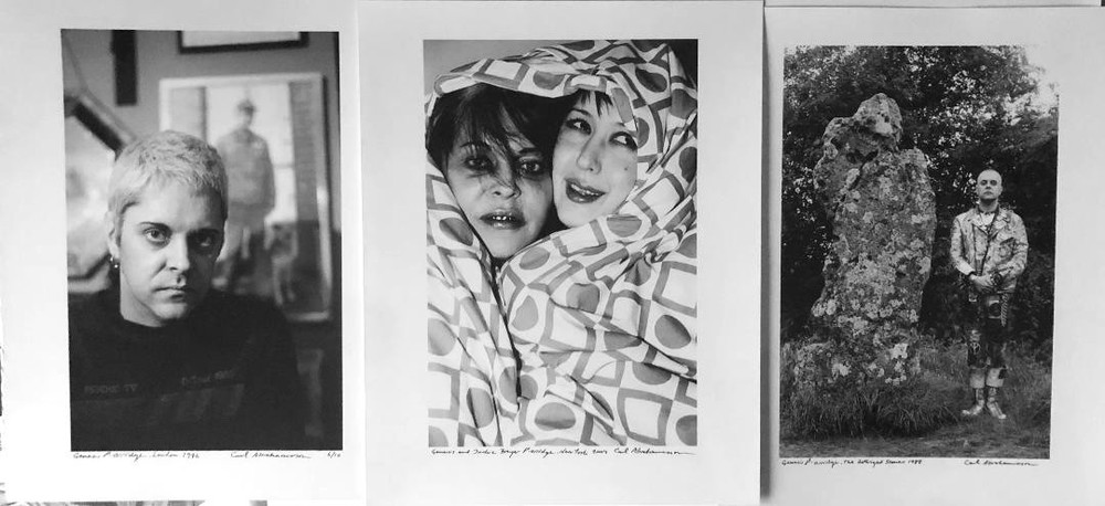 GENESIS P-ORRIDGE / THROBBING GRISTLE / COUM – SET OF 3 SIGNED PUNK PHOTOS RARE