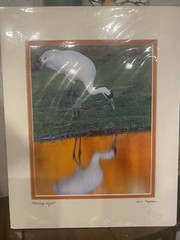 John Martell Art Photograph Print Matted Signed “ Morning Light” Whooping Crane