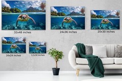 Sea Turtle Photo, Hawaiian Islands Art, Turtle Swimming in Ocean HD Photography