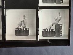 NEWLY FOUND! Hendrickson PHOTO Contact Sheet Proof JULIET PROWSE POSING ON CHEST