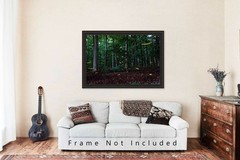 Fireflies Photography Print: Tennessee Lightning Bugs Forest Summer Nature Photo