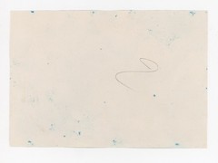 Oyster Bivalve Latin America San Gabriel Mexico Bromide Photo 1895
