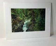 Fine Art Photograph Forest of Dreams Canadian Rockies Landscape Signed & Matted