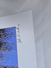 RARE John B. Spohrer, Jr. Signed Osprey Catfish Print Florida’s Forgotten Coast