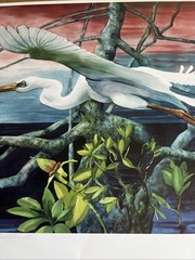Egret In Flight: Fine Art Print “ Quiet Sunset” Vernon L Good 24.5 X 35” Overall