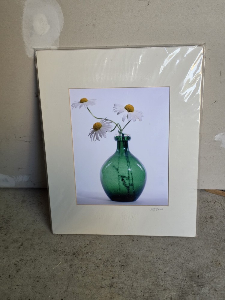 Daisy Floral Photography Matted Print