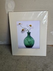 Daisy Floral Photography Matted Print