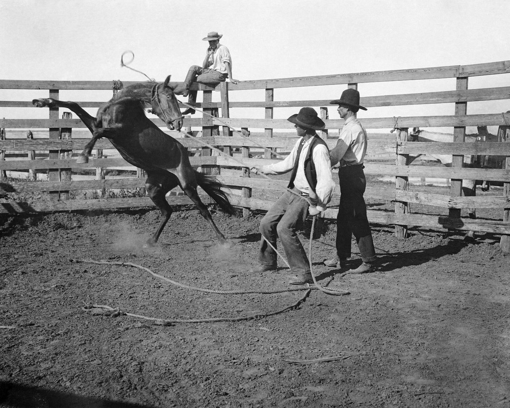 Branding on the Range, Matador Ranch, Texas. Erwin E. Smith 8×10 Print