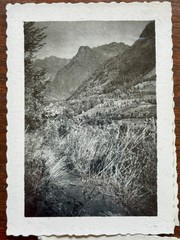 VIVIAN MAIER Travel Set – 8 Original Vintage Snapshots of Switzerland & Beyond