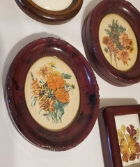 Vintage Mid Century Floral Wall Decor Set Dark Academia Moody Botanical