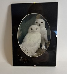 Vintage Artist Signed Snow Owl Portrait Framed 5×7”
