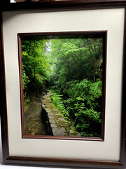 Glossy Photograph: Brook and Stone Wall. 15 in. x 12 in. Diane L. Deanna