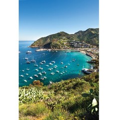 Channel Islands Avalon Photo Print, Santa Catalina Island, Crescent Beach Art
