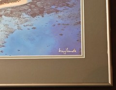 Framed Aerial Island Ocean Print Craig Lamotte Great Barrier Reef Coastal Art
