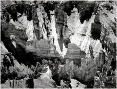 1947 1990s Ansel Adams In Cedar Breaks National Monument Utah Large Art Photo