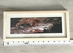 Joseph Barnett Photography Set of 2 Signed Autumn Themed Nature Framed Photos