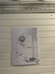 Sunflower #11 – landscape photograph 8.5×11