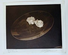 AMERICAN ARTIST ROBERT J. STEINBERG SIGNED DATED PHOTOGRAPH – «TWO WHITE ROSES»