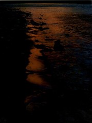 1962 Eliot Porter Glen Canyon Sunset San Juan River Art Photo Gravure