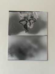 Untitled Photogram (9) Circa 2018