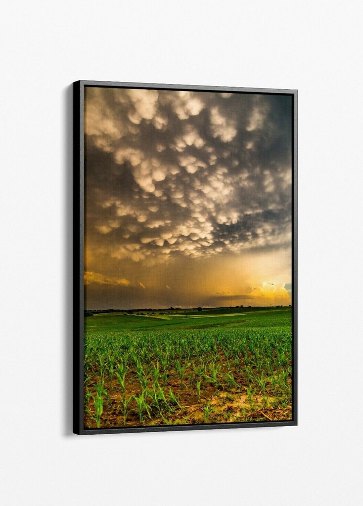 24×36 Framed canvas Nebraska landscape photography wall art photo nature picture