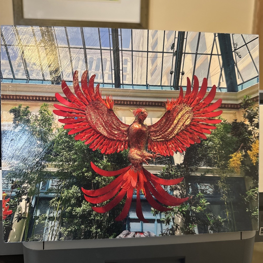 “The Phoenix Rises” Original Art Photo Mounted On Wood, 8×10