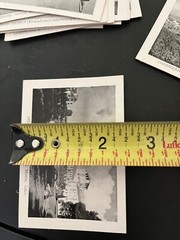 Vintage Black and White 2 1/2” x 3 1/2” – Lot of 15