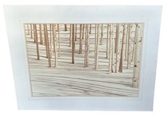 Signed Photograph- Forest Scene- Birch Trees In Snow by William Plante FREE SHIP