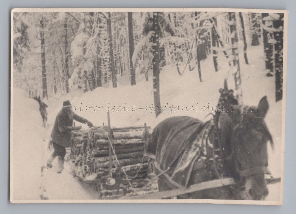 Wooden Servant with Long Beard Snowy Winter Landscape with Horse Team Photo