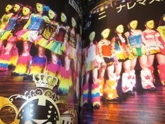 kawaii Kamen joshi Photo book Illustrated reference book 2014