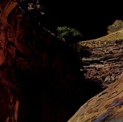 1962 Eliot Porter Glen Canyon Walls Natural Amphitheater Art Photo Gravure