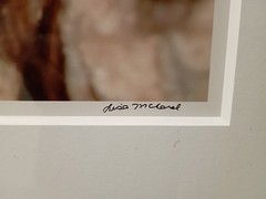 Lisa McCord Photography Bathroom Portraits Vintage Signed