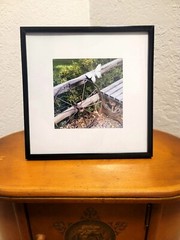 Original Photograph Matted in an 8 x 8 Inch Frame – Rustic Wagon Wheel