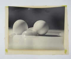 Signed David William Ginsburg photograph 2 Eggs 1 Yolk b&w food photo scientific