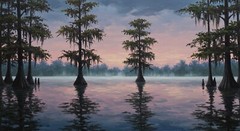 Digital Image Picture Wallpaper Background Desktop Swamps sunset