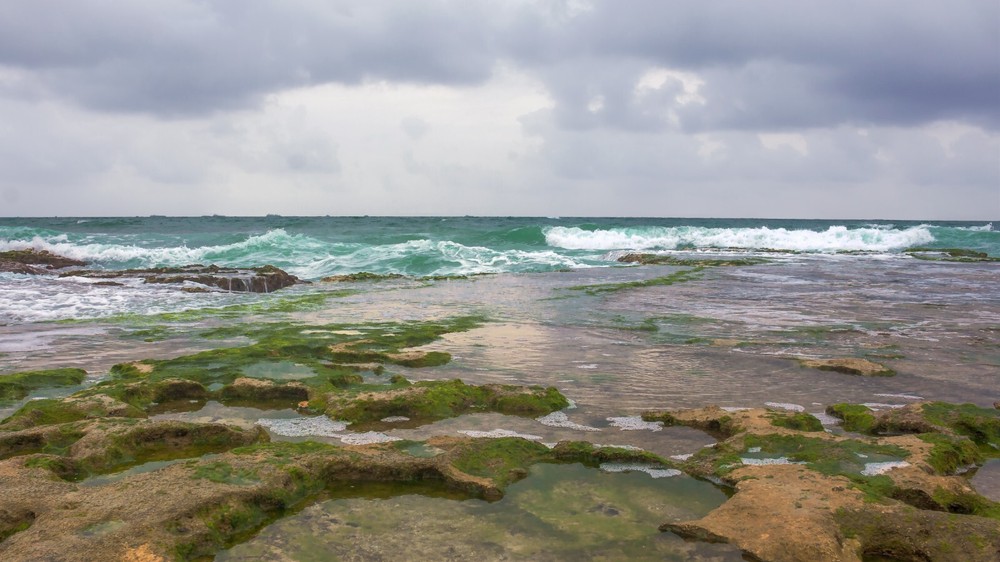 Wild beach storm wave clouds rocks rain nature Maritime art Picture Photo Print
