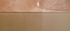 Willam Plante «Wilderness Creek» Photo 1976 Signed