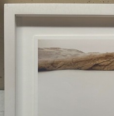 PATRICIA SILVA ‘The Braided Wave’ NATURALIST Abstract CONTEMPORARY Photograph