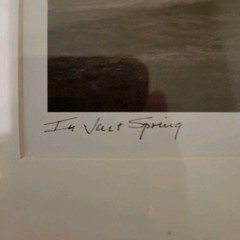 Calvo Trees «In Just Spring», Black & White Print By Richard Calvo, Framed
