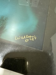 Sharon Lyn Walleen Signed 1989 Northern Lights Photograph 14″x11″ – New Sealed