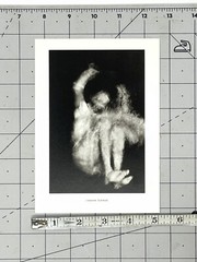 Leanne Schmidt Art Show Announcement Card 1996 Gallery 292