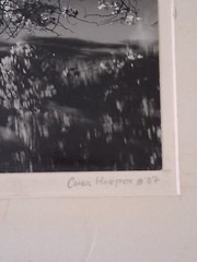 CHRIS HONEYSETT WEEPING WILLOW, GOVDEN GATE PARK PHOTOGRAPH SIGNED 1982