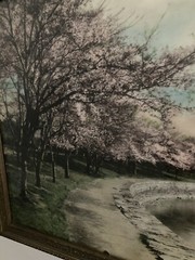 Washington Monument Hand Colored Photo 11.75” x 15”