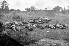 New Civil War Photo: Dead Near Rose Farm Orchard, Gettysburg Battle – 6 Sizes!