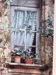 DENNIS BARLOGA Listed Artist «Window Pots» Photograph Signed Framed 1992