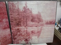3 prints of Reflective Trees on Water Senery. 16″ x 16″ wood frames